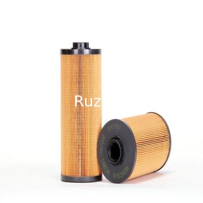 Escavatore estraente Parts Filter di RC981 PF-CO-02-010602100 60151839 60201220 4679981