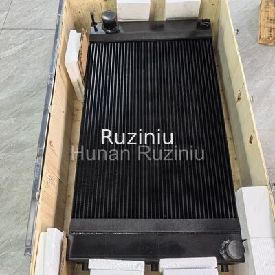 160801010169A002 SANY Radiatore idrico