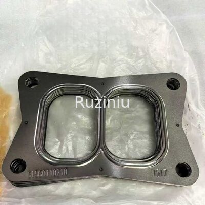 60125030 SANY Guarnizione del turbocompressore